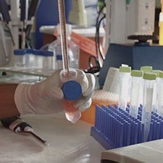 A still image taken from a video depicting a scientist in a laboratory putting a liquid in empty vials.