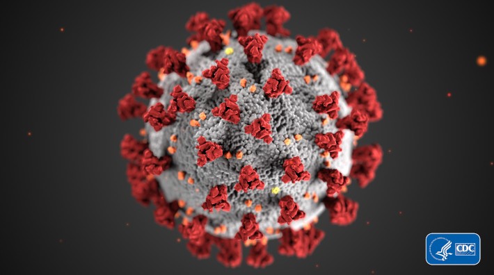 Illustration showing a microscopic view of the coronavirus