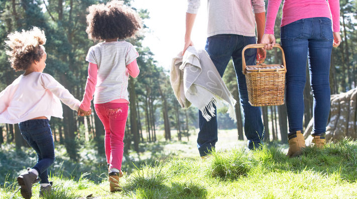 family of four walking through grassy area with picnic basket and blanket